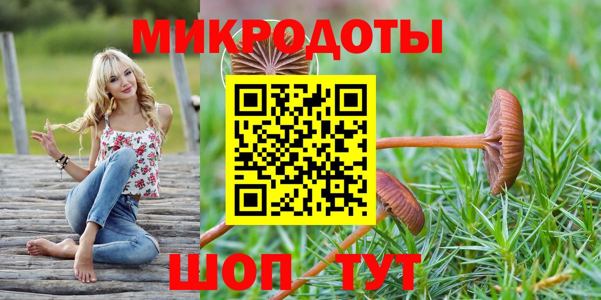 Псилоцибиновые грибы Psilocybine cubensis Кизилюрт