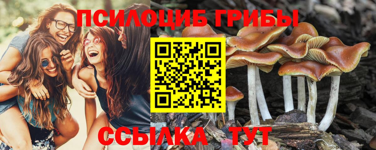 Галлюциногенные грибы GOLDEN TEACHER  Вход с VPN  Кизилюрт 
